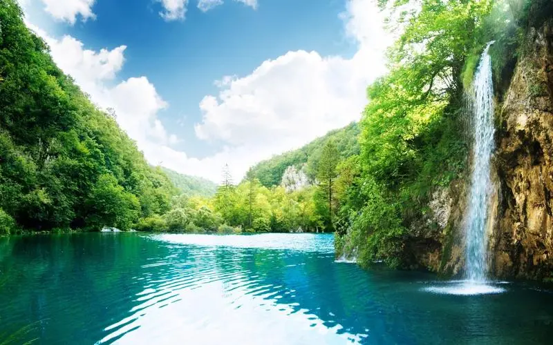 新型绿色高效